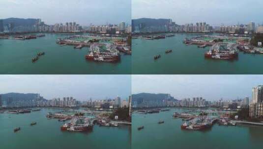 深圳湾海港渔民码头航拍高清在线视频素材下载