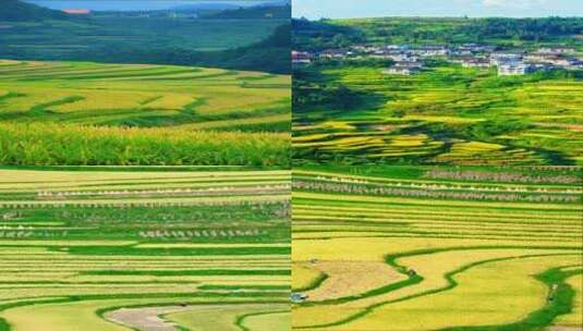 田园风光，聆听徐徐而来的浪声，空旷世界里高清在线视频素材下载