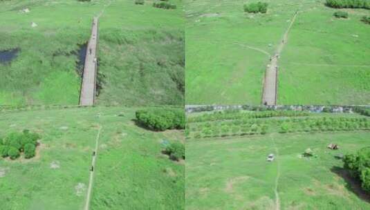 航拍苏州太湖边的草原(桥)高清在线视频素材下载