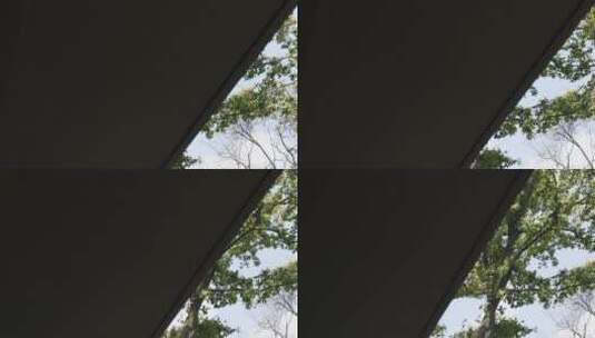 别墅豪宅院子枝繁叶茂大树SLOG3高清在线视频素材下载