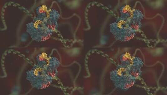生物科学 基因编辑 DNA 基因工程 医学动画高清在线视频素材下载