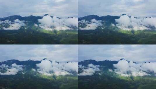 雨雾缭绕、光影斑驳的高黎贡山高清在线视频素材下载