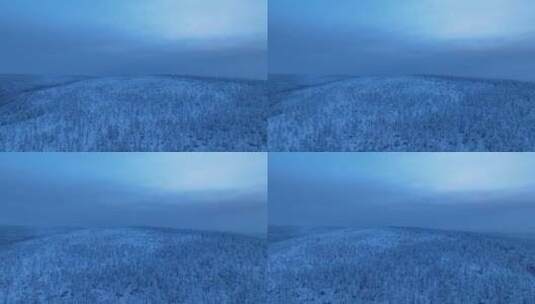 航拍黎明林海雪原雾凇高清在线视频素材下载