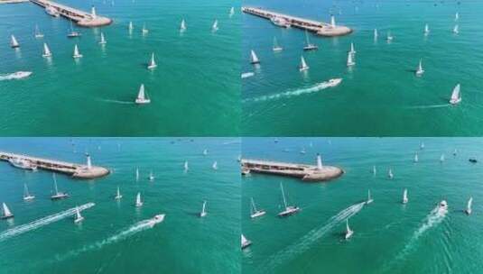 海上帆船青岛帆船高清在线视频素材下载