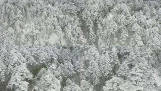 航拍雪山雪景高清在线视频素材下载