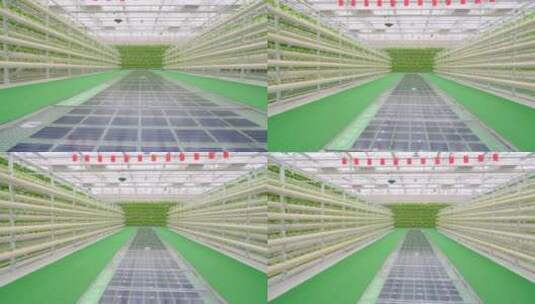 现代化温室大棚-科技农业高清在线视频素材下载