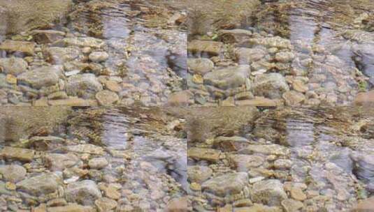 清澈的河水-溪流-水资源高清在线视频素材下载