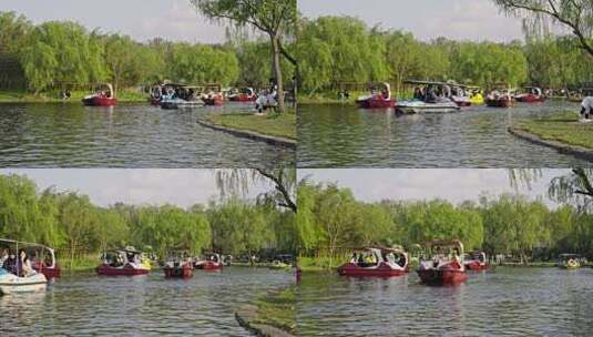 公园划船高清在线视频素材下载