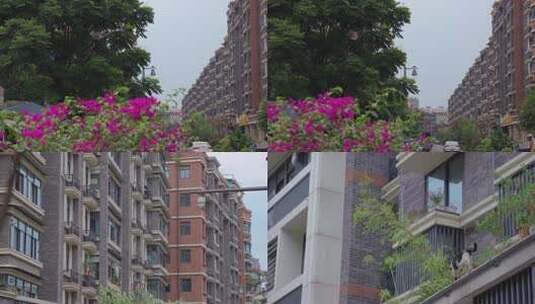 城市规划特色网红街道小巷楼房高清在线视频素材下载