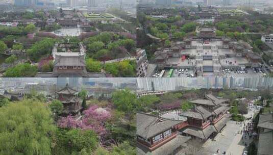 航拍青龙寺遗址樱花花海古建筑景观风光8高清在线视频素材下载