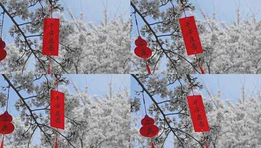 春天盛开的樱花树祈福慢镜头高清在线视频素材下载