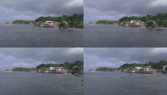沿着卡利比西村飞行，鹈鹕从水中起飞高清在线视频素材下载