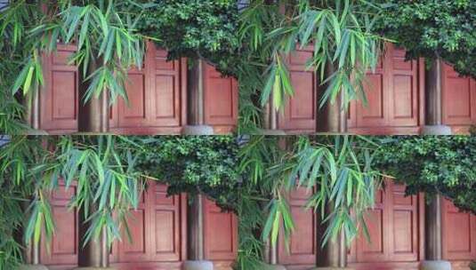 意境竹林竹影，中式古典园林高清在线视频素材下载