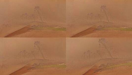 黄河滩涂生命之树高清在线视频素材下载