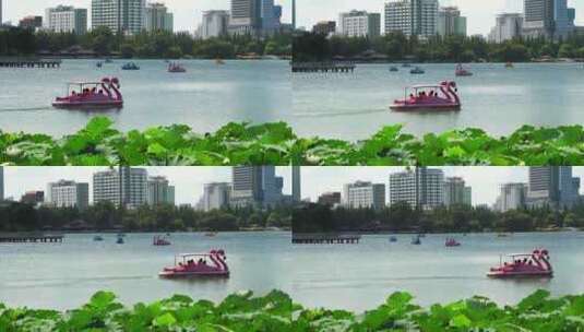 南京玄武湖风景 荷花与游船高清在线视频素材下载