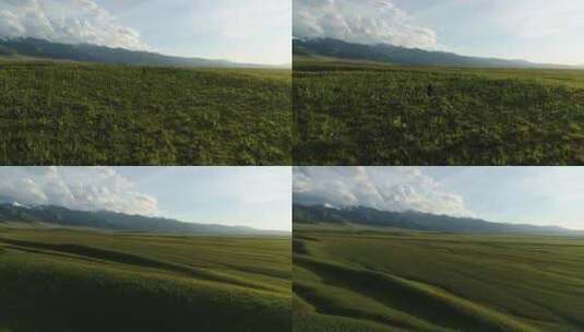4k航拍新疆那拉提草原风景高清在线视频素材下载