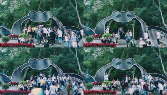 重庆动物园熊猫馆人流延时高清在线视频素材下载