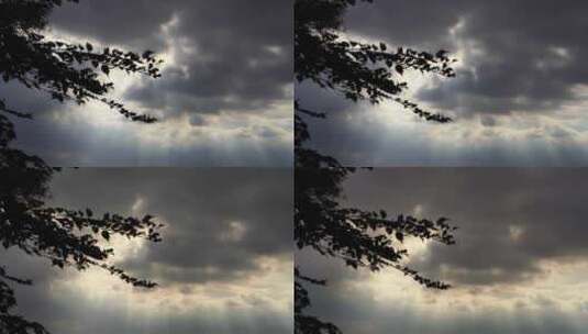 仰拍树叶树枝天空阳光丁达尔光耶稣光实拍高清在线视频素材下载