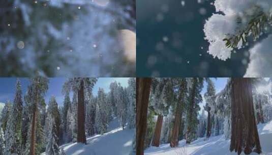 东北唯美下雪雪花浪漫阳光下雪花雪景高清在线视频素材下载