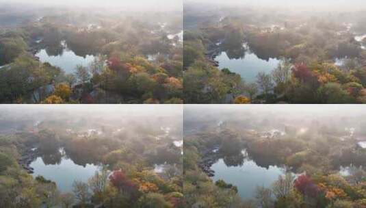 杭州秋天 西溪湿地 手摇船 湿地博物馆高清在线视频素材下载