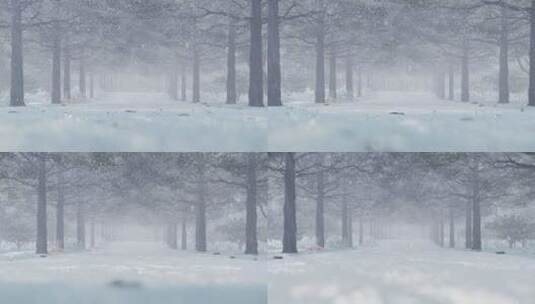 唯美空灵雪景背景视频高清在线视频素材下载