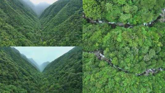 航拍大山深处原始森林青山绿水高清在线视频素材下载