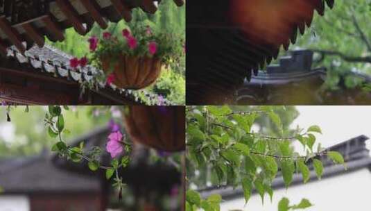 春雨江南中式园林庭院空镜高清在线视频素材下载