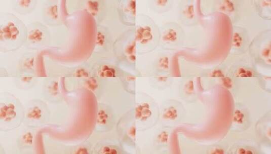 胃部与生物细胞背景3D渲染高清在线视频素材下载