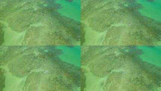 一艘船在美国罗亚波尔图海滩珊瑚礁之间形成高清在线视频素材下载