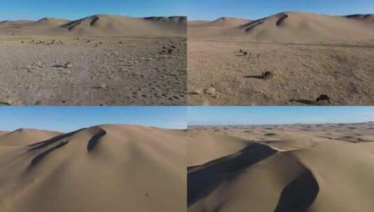 沙漠地貌高清在线视频素材下载