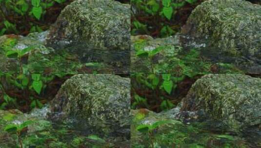 泉水清澈小河流水特写镜头高清在线视频素材下载
