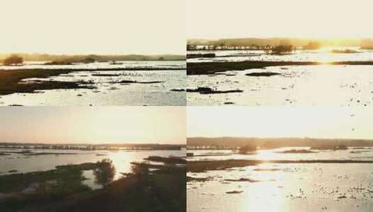 唯美湿地金色日落航拍高清在线视频素材下载