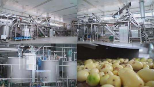 马铃薯加工厂高清在线视频素材下载