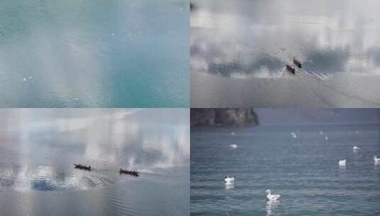 4k航拍泸沽湖海鸥高清在线视频素材下载