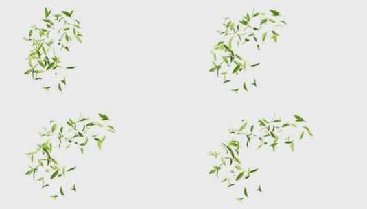 带透明通道的飘动的绿色茶叶三维渲染高清在线视频素材下载