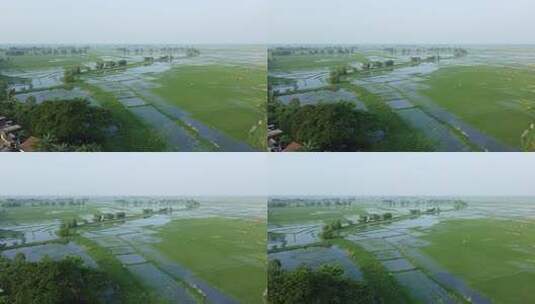 阿里尔在雨季拍摄了达莫达河和蒙迪什瓦里河高清在线视频素材下载