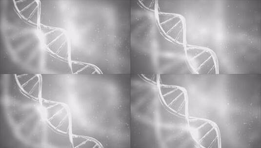 摘要白色DNA 3D全息发光旋转DNA双高清在线视频素材下载