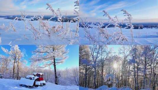 银色呼伦贝尔雾凇雪景高清在线视频素材下载