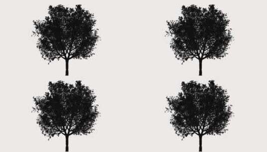 树木轮廓剪影动画效果素材2高清在线视频素材下载