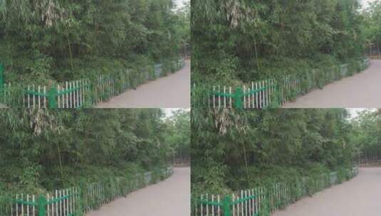 竹林边的小路高清在线视频素材下载