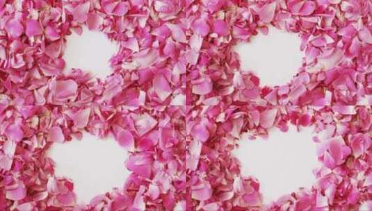 白色背景前的粉色花瓣划出爱心高清在线视频素材下载
