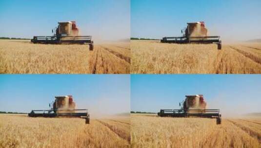 农业生产丰收高清在线视频素材下载