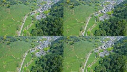 4k 航拍户外杭州高山茶园茶田自然风光高清在线视频素材下载