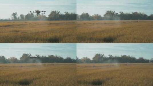 无人机在田地里飞行喷洒农药施肥高清在线视频素材下载
