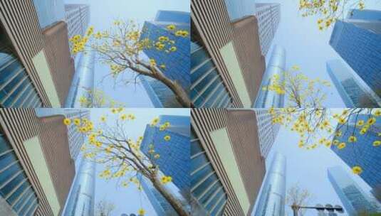 南宁五象新区街景 现代化高楼林立城市穿梭高清在线视频素材下载