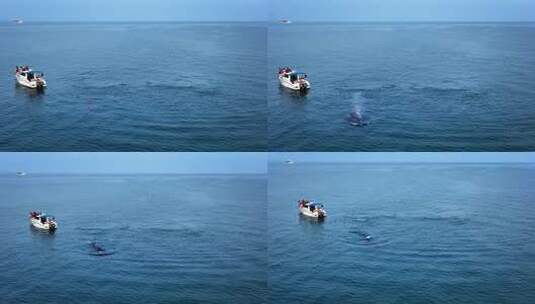 广西涠洲岛日落鲸鱼大海航拍高清在线视频素材下载