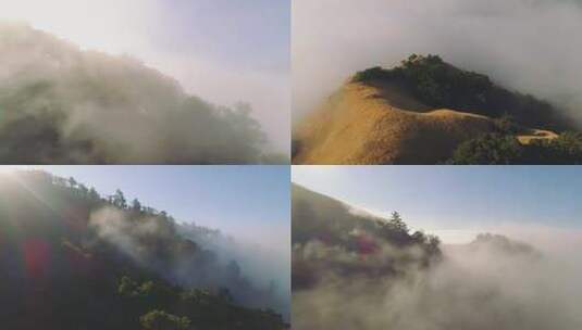 阳光穿过雾气森林山顶云雾云海森林高清在线视频素材下载