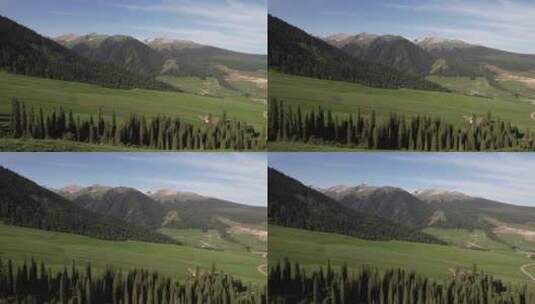 新疆琼库什台森林雪山航拍高清在线视频素材下载