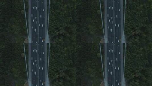 森林之间的桥梁俯视图高清在线视频素材下载