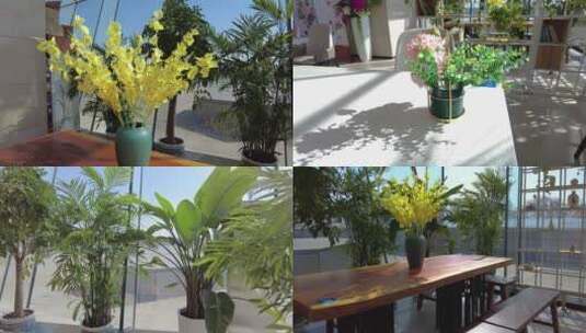 【4K】午后绿植花束高清在线视频素材下载